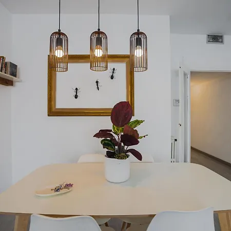 Lägenhet Flat Manager Barcelona